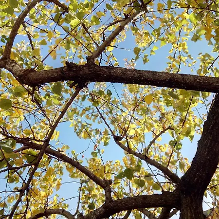 Patrick&pierre 4* 尼姆